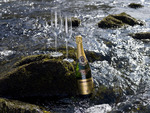 Celebrate In Style