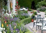 Mother's Day Lunch Gift Voucher