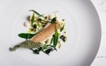 Seven-Course Dinner from the Tasting Menu for One